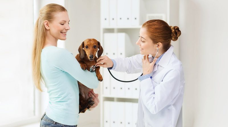 Симптоми інфаркту у собак