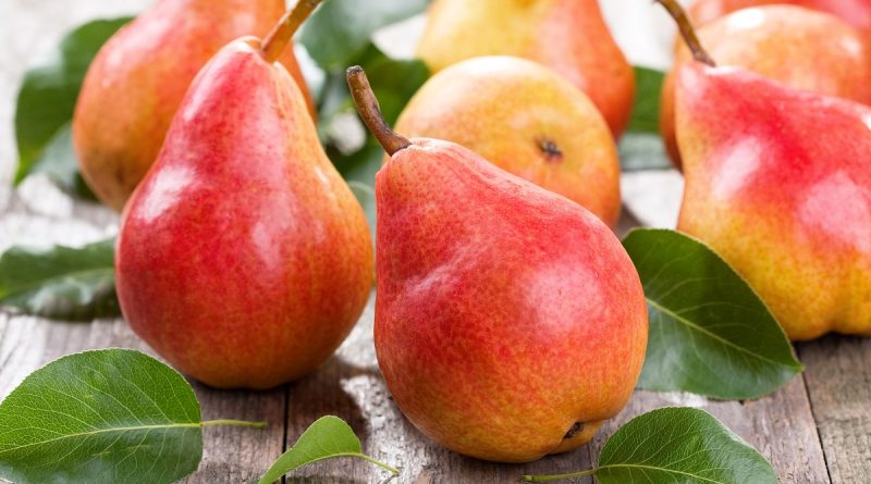 Цікаво, чи можна собаці грушу