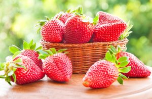 У яких випадках можна давати собакам полуницю?