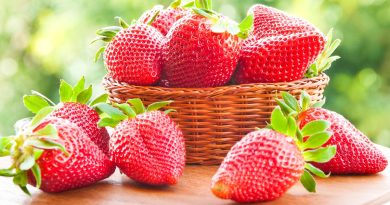 У яких випадках можна давати собакам полуницю