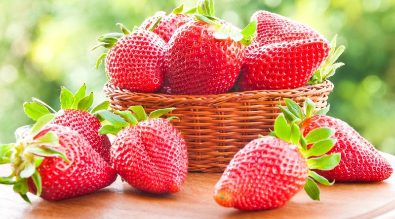 У яких випадках можна давати собакам полуницю