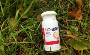 У яких випадках собакам можна Но-шпу?