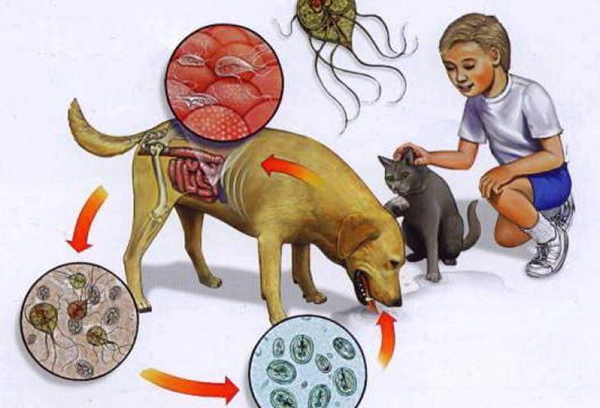 Великі масштаби проблеми