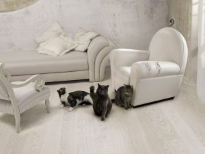 Як відучити кота драти меблі та шпалери — йдемо проти природи.