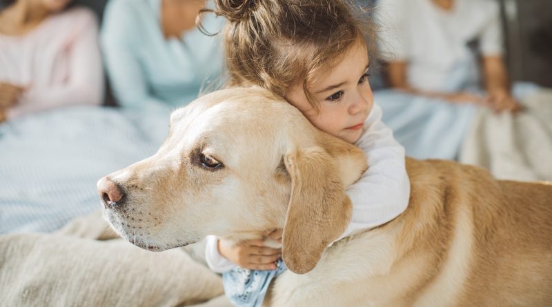 Яку породу собак вибрати для квартири та дитини