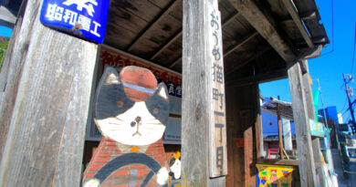 Бездомна кішка врятувала стару залізницю від закриття, а людей від звільнення