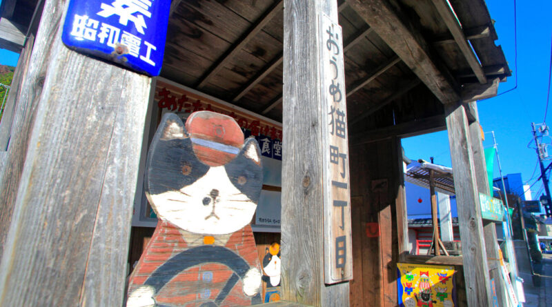 Бездомна кішка врятувала стару залізницю від закриття, а людей від звільнення