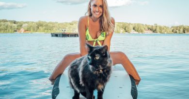 Чи можна навчити кота плавати