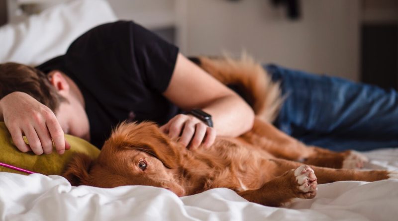 Чи можна спати в одному ліжку із собакою
