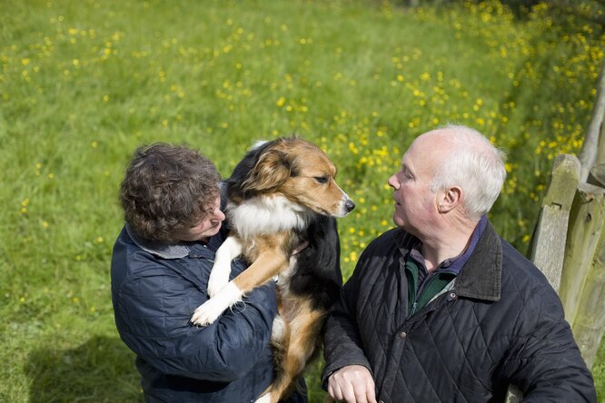 Що потрібно враховувати при виборі собаки для людини похилого віку