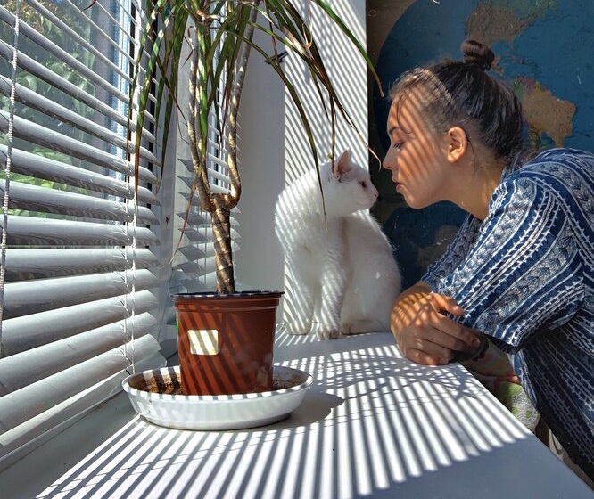 Використовуйте котячі привітання