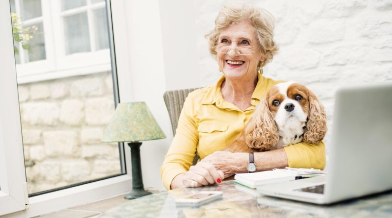 Як підібрати собаку літній людині