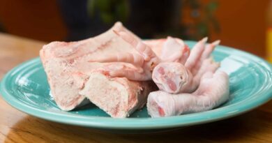 Чи можна давати собаці курячі лапки: чим корисні?