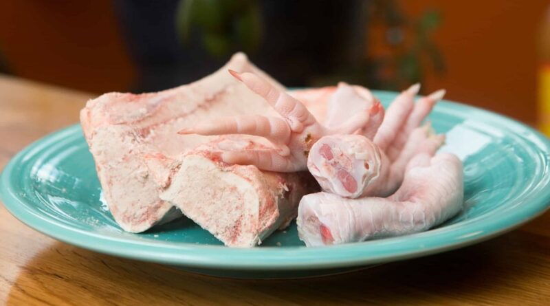 Чи можна давати собаці курячі лапки: чим корисні?