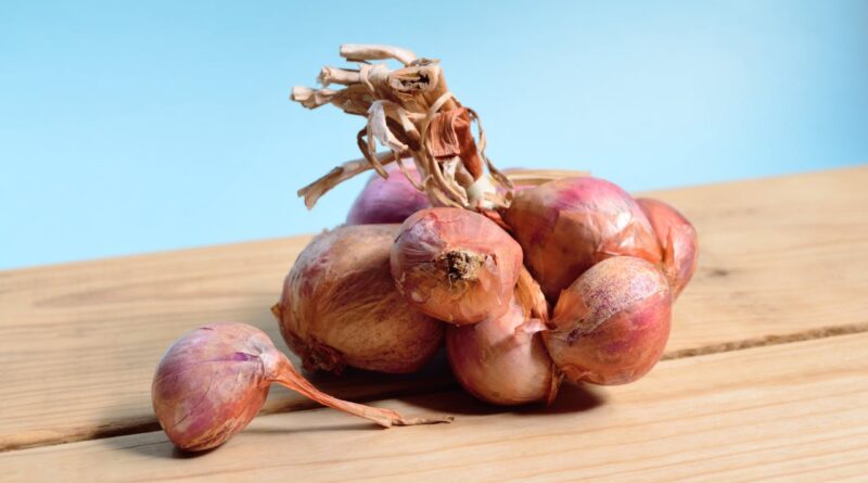 Чи можна собакам їсти цибулю (варену, зелену, ріпчасту)?