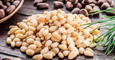 Чи можна собаці кедрові горіхи?