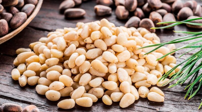 Чи можна собаці кедрові горіхи?