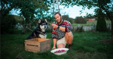 У яких продуктах міститься клітковина для собак?