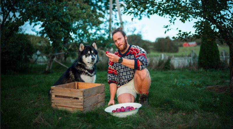 У яких продуктах міститься клітковина для собак?