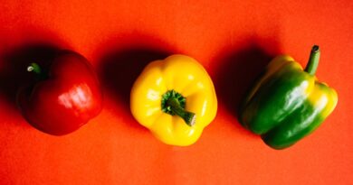 Болгарський перець у раціоні собак: за чи проти?