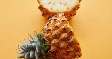 Чи можна давати собакам ананас: свіжий, консервований?