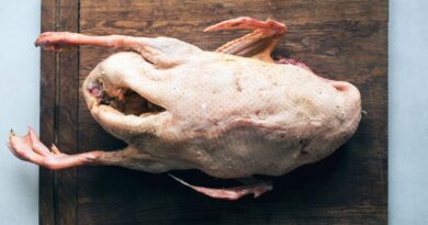 Чи можна качку собакам: користь качиного м'яса, як давати?