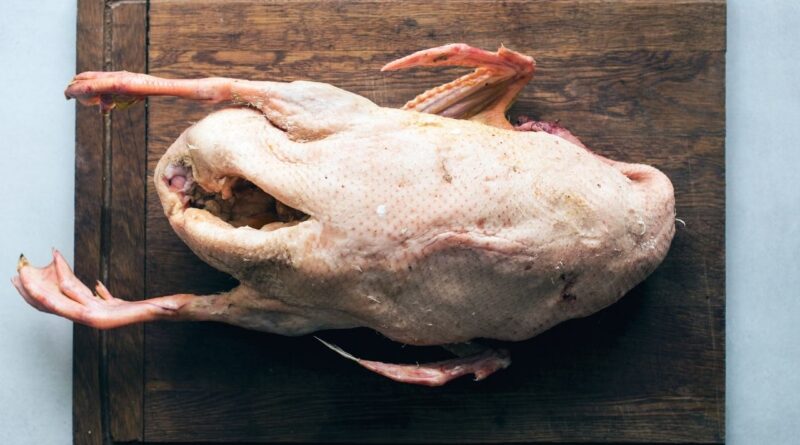 Чи можна качку собакам: користь качиного м'яса, як давати?