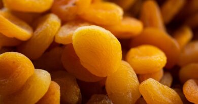 Чи можна собакам абрикоси та курагу?