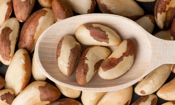 Чи можна собакам бразильський горіх?