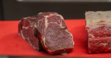 Чи можна собакам давати сире м'ясо: з якого віку?