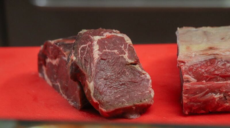 Чи можна собакам давати сире м'ясо: з якого віку?