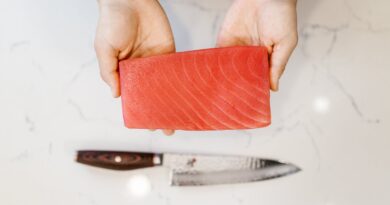 Чи можна собакам давати тунець: свіжий, консервований?