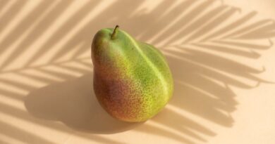 Чи можна собакам грушу: чим корисна, як давати?