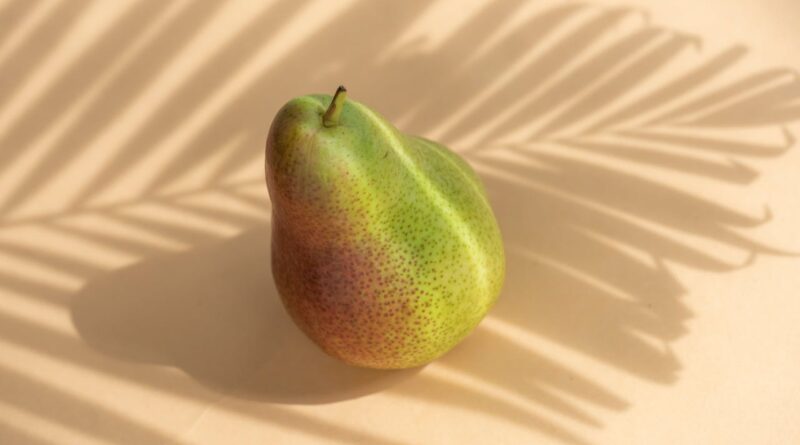 Чи можна собакам грушу: чим корисна, як давати?