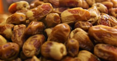 Чи можна собакам їсти фініки: допустимість фініків у харчуванні собак?