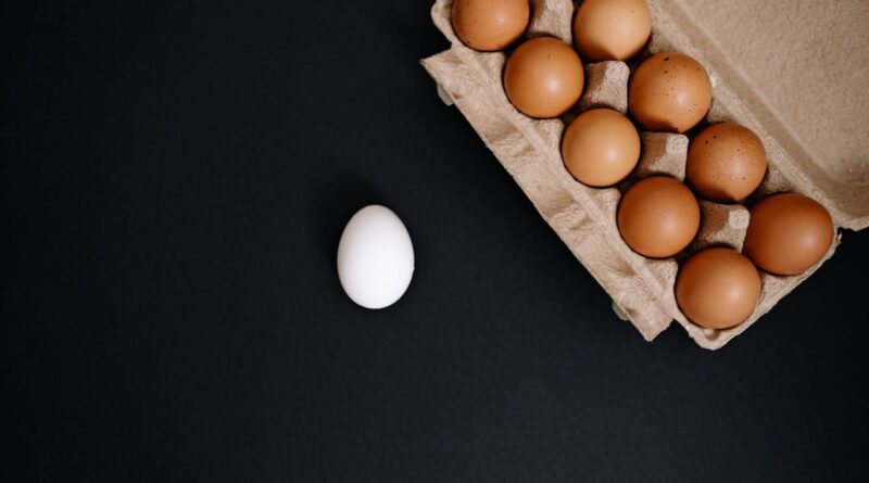 Чи можна собакам їсти яйця: сирі, варені, як давати?