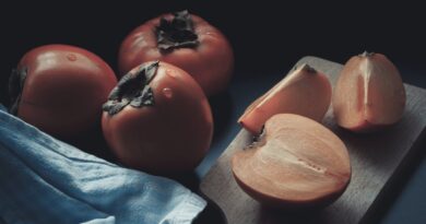 Чи можна собакам їсти хурму: сиру, сушену?