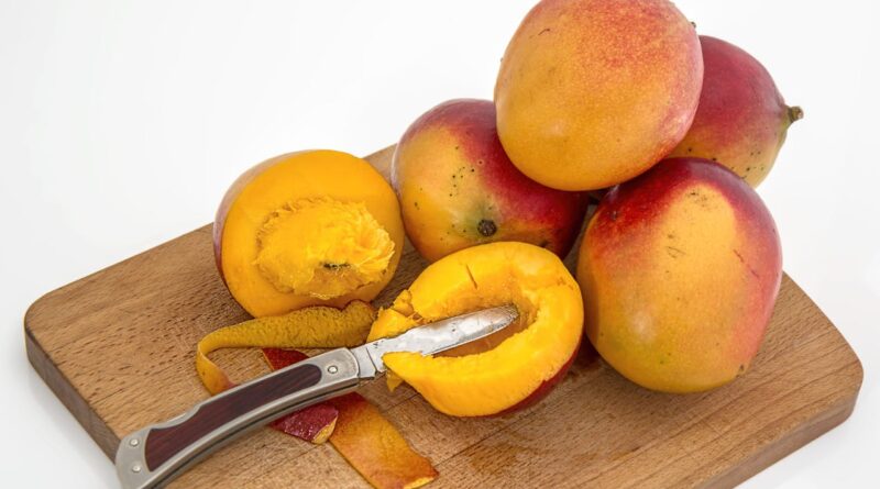 Чи можна собакам їсти манго: сире, сушене?