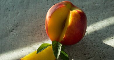 Чи можна собакам їсти нектарини: скільки давати?