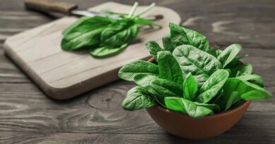 Чи можна собакам їсти шпинат: шкода і користь, як давати?