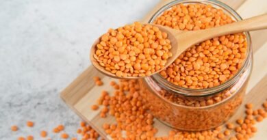 Чи можна собакам їсти сочевицю: нюанси, які важливо знати?