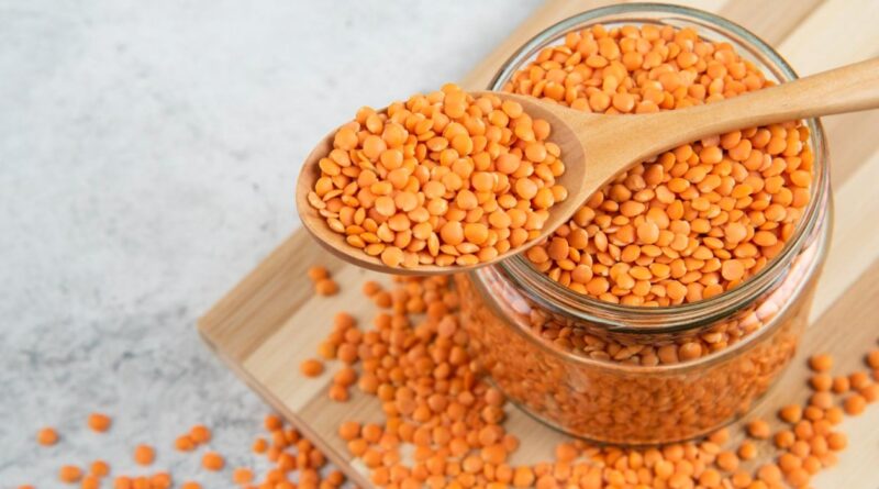 Чи можна собакам їсти сочевицю: нюанси, які важливо знати?