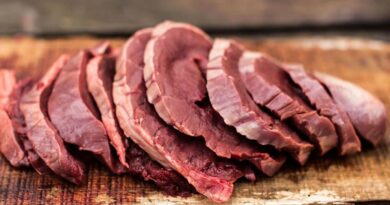 Чи можна собакам конину: чому це м'ясо таке корисне?