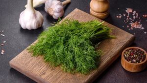 Чи можна собакам кріп додавати в їжу: як це робити?