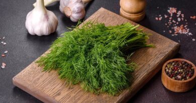 Чи можна собакам кріп додавати в їжу: як це робити?