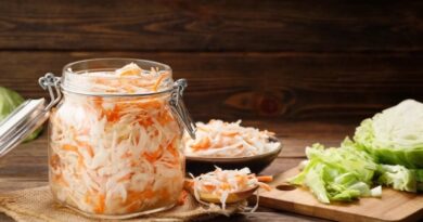 Чи можна собакам квашену капусту: чи є користь і як давати?