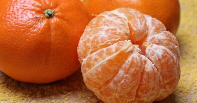 Чи можна собакам мандарини та клементини: як давати?