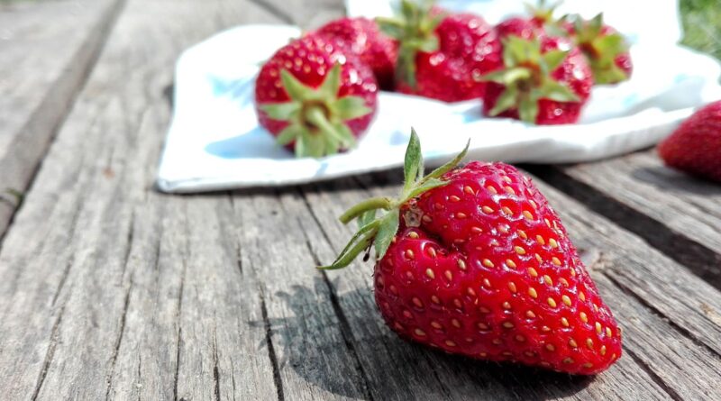 Чи можна собакам полуницю: чим корисна, як давати?