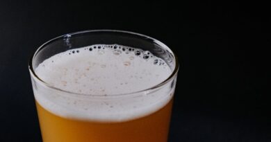 Чи можна собакам пиво: алкогольне чи безалкогольне?