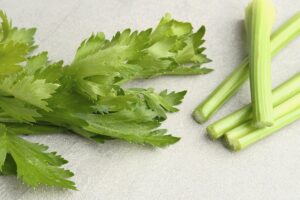 Чи можна собакам селеру: чим корисна, як давати?